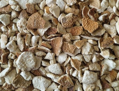 Oranger Bigaradier Bio Ecorce Entière