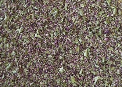 Origan Bio Sommité Fleurie France (Local)