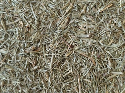 Prêle Bio Partie Aérienne Coupée