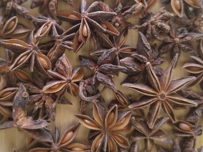 Badiane Bio Fruit Entier 