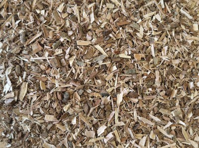 Saule Bio Ecorce Coupée