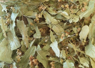 Tilleul des Baronnies Bio Bractée Entier France