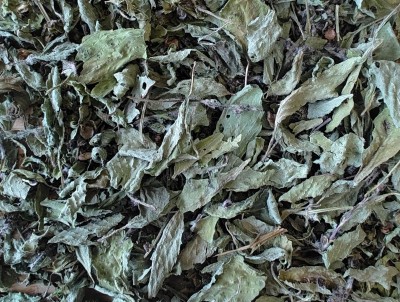 Basilic Sacré Bio Partie Aérienne Coupée France (Local)