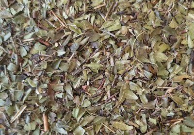 Busserole Bio Feuille Entière