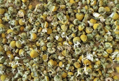 Camomille Matricaire Bio Fleur Entière