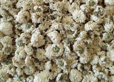 Camomille Romaine Bio Fleur Entière France (Local)