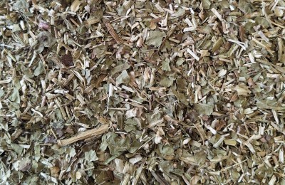 Chicorée Bio Feuille Coupée