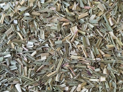 Citronnelle Bio Feuille Coupée France (Local)