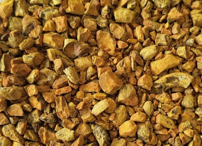 Curcuma Bio Racine Coupée