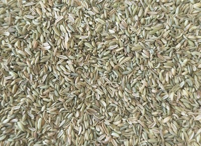 Fenouil Bio Semence Entière