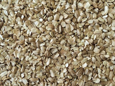 Angélique Bio Semence Entière