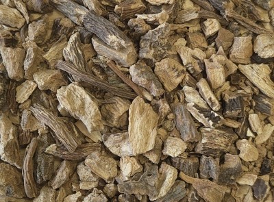 Gentiane Bio Racine France Coupée