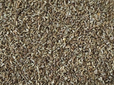 Anis Vert Bio Semence Entière France