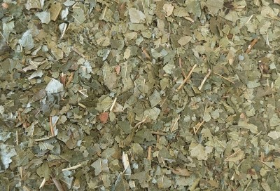 Hamamélis Bio Feuille Coupée France