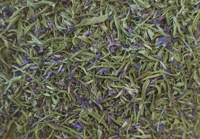 Hysope Bio Sommité Fleurie Coupée France (Local)