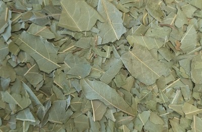 Laurier Bio Feuille Entière France (Local)