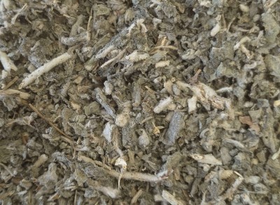 Marrube Blanc Bio Partie Aérienne Coupée