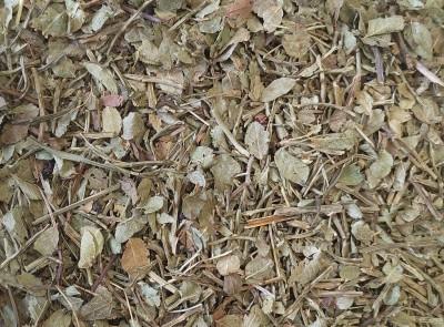 Myrtille Bio Feuille Entière