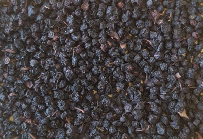 Myrtille Bio Fruit Entier