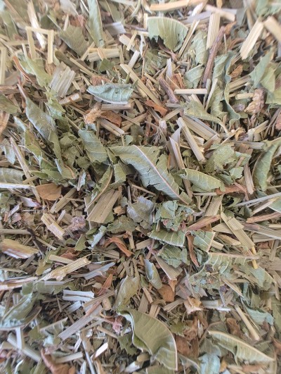 Entre Ciel est Terre